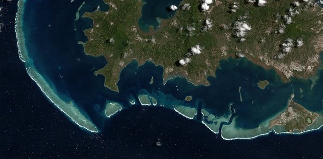 Фото: phys.org