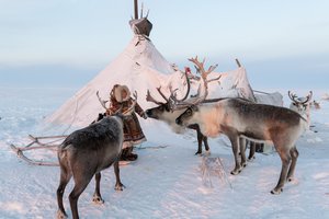 Что вы знаете о народах Арктики? Тест