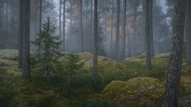 Фото: Николай Степаненко / фотохостинг rtraveler.ru