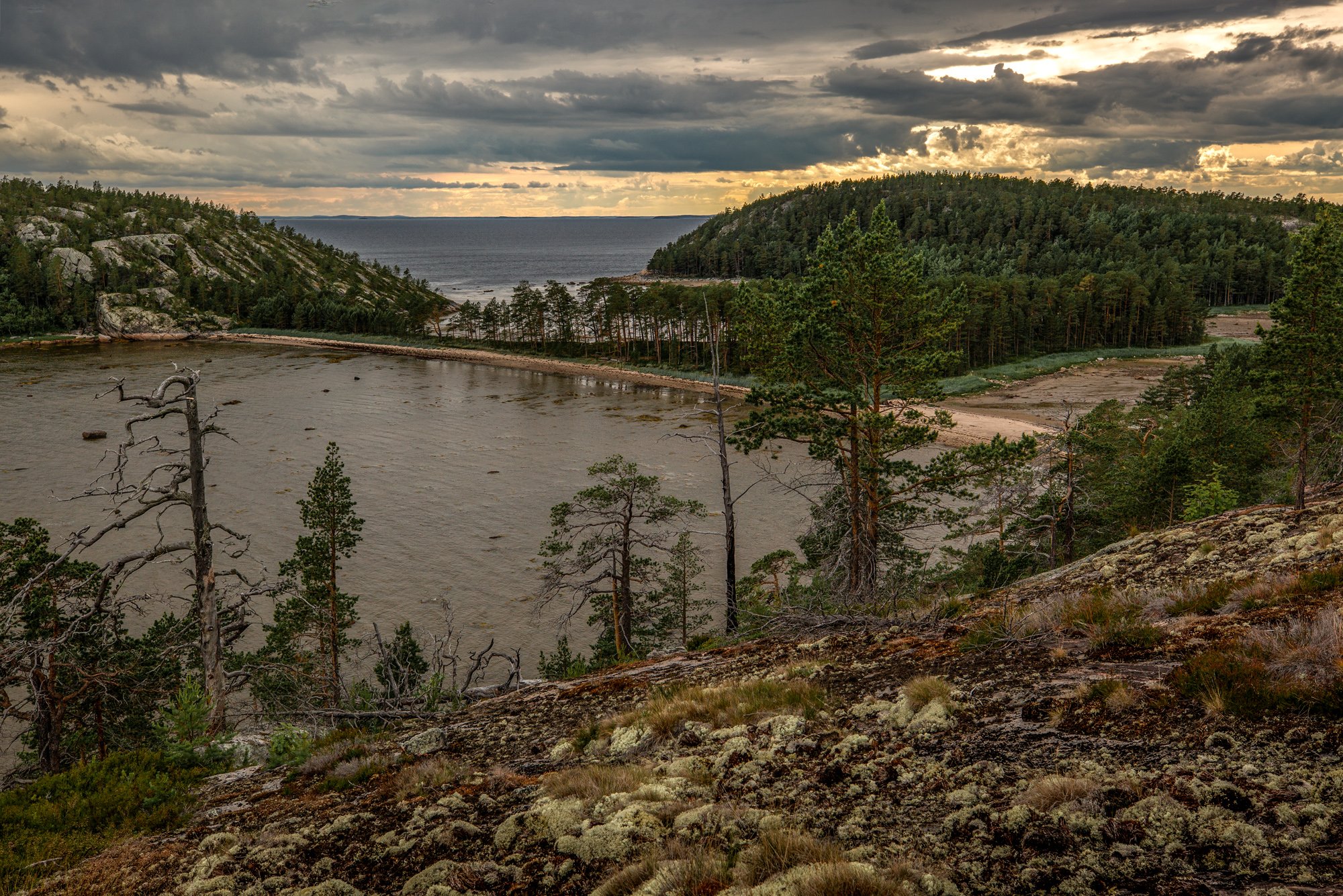 Остров Олений белое море