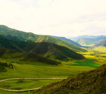 Перевал, Горный Алтай, Чуйский тракт, Россия.