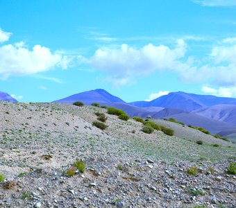 Горный Алтай, вид со степи на горы.