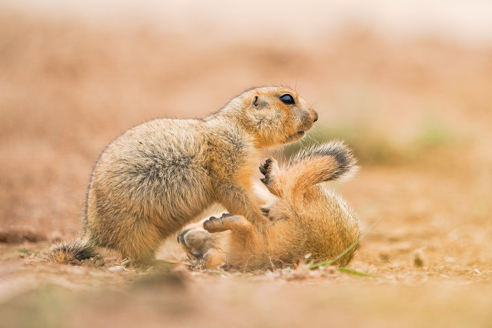 Детские игры