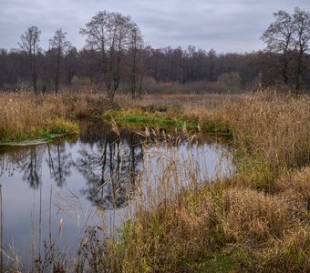 Осеннее настроение