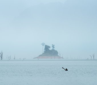 Туманный остров