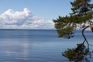 «Поймать золотую осень»: как прошел наш фототур на Ладожское озеро