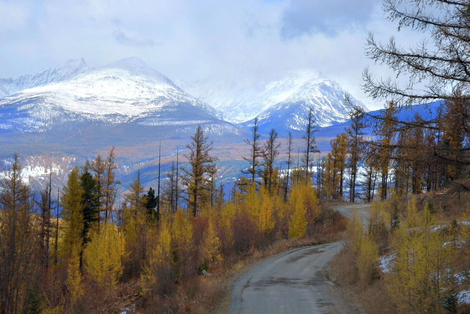 Кату ярык алтай фото