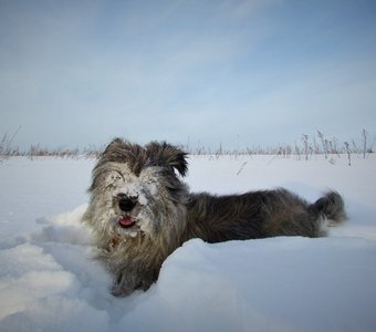 Ох уж этот липкий снег!