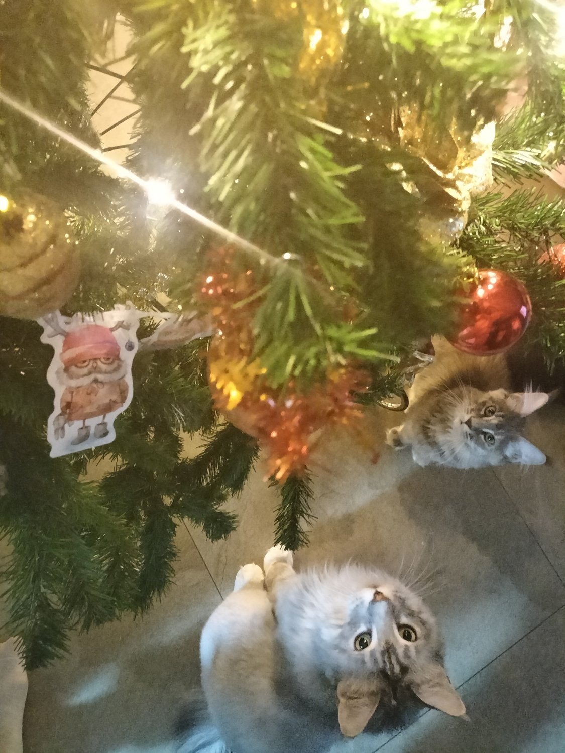 Николя, будьте любезны, достаньте звезду