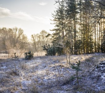 Морозная дымка