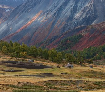 Пастушья стоянка