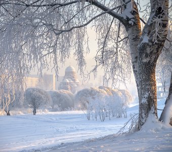Зима на Муринском  ручье...