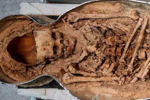 Под собором Парижской Богоматери нашли останки аристократа с удлиненным черепом