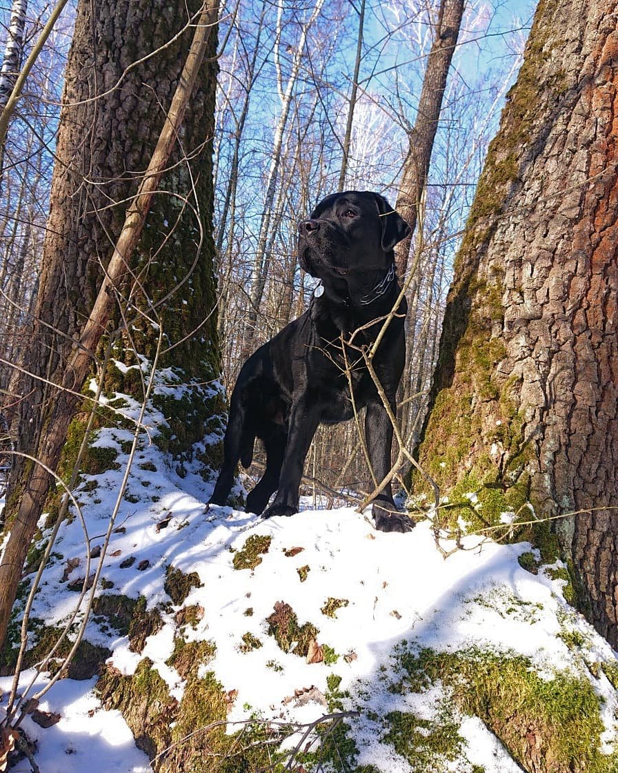 Вид сверху лучше — Фото №1430421