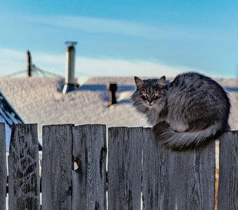 JОттепель.