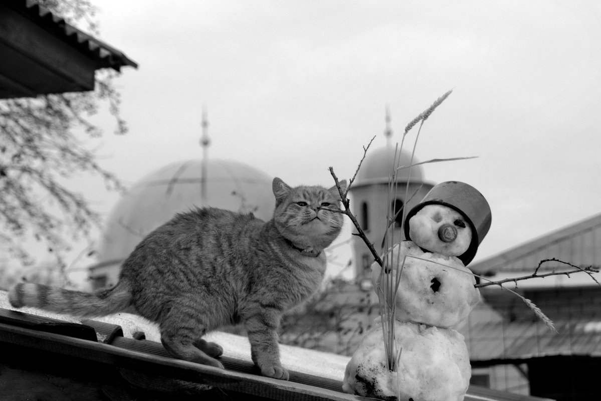 А что это вы тут делаете... и почему без меня? — Фото №1430660 ...