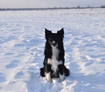 Зимние просторы