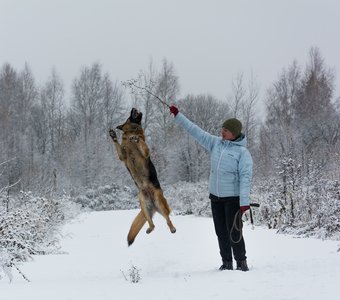 Поскакушки