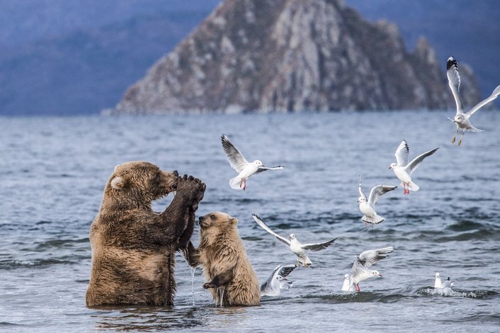 Фото: Алексей Шаскольский