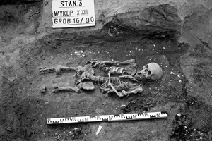 На польском кладбище обнаружили странный скелет карлика