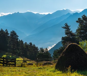 Запах скошенного луга