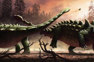 Для чего бронированным динозаврам хвосты-булавы?