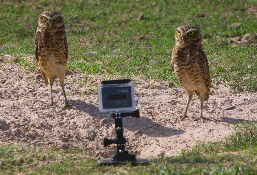 Андрей Каменев шеф фотограф National Geographic Россия