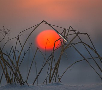 Опускалось солнышко за горизонт