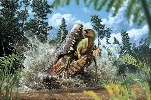 В желудке крокодила, умершего 95 миллионов лет назад, нашли динозавра