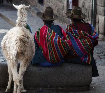 В ожидании туристов. Куско, Перу