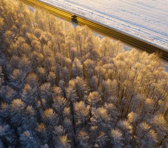 Золотой час