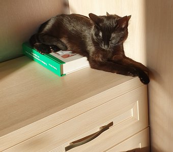 На чиле,  на расслабоне