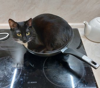 Мне так удобно