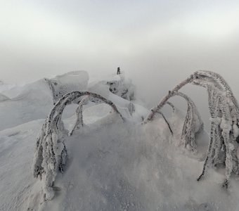 Суровое зимнее утро
