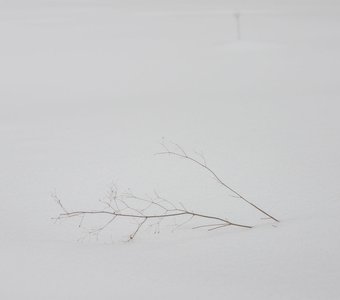 Зимний минимализм