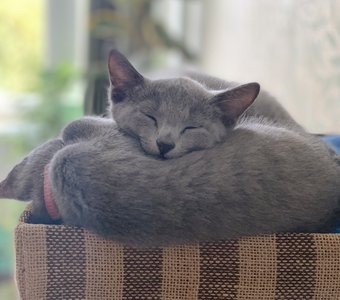 Удобненько)