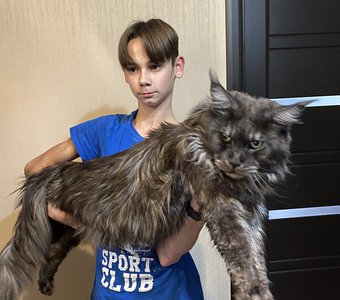 Наша растяжка!