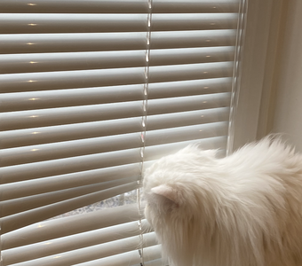 Наблюдательный пост