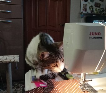 Контроль качества