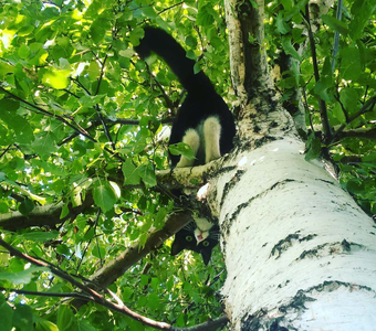 Летние каникулы