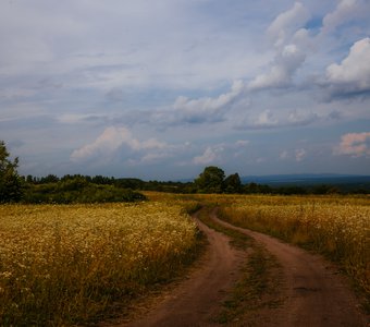 Перед грозой