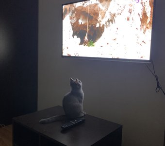 Интересное 🎥