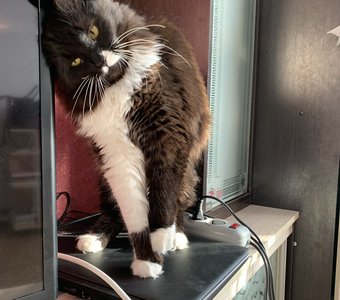 На рассвете