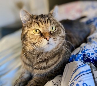 Солнце в Питере!