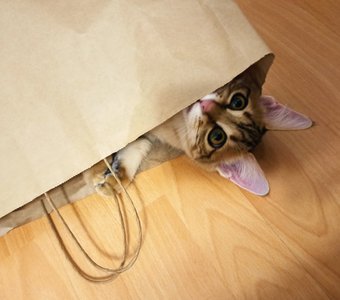 Мура фотомодель