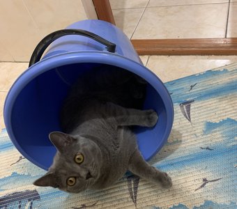 Ты не будешь мыть пол!😏