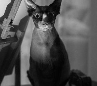 Страшно красива