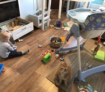 Чуть-чуть нашкодили