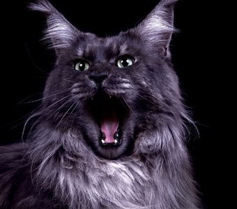 Вот как мы умеем!!!