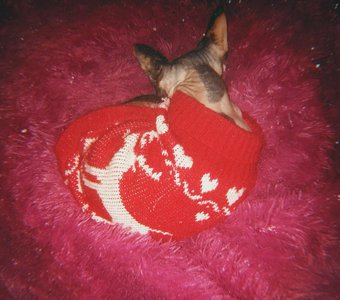 Зимний вечер